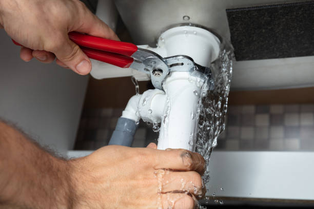 Best Water damage cleanup near me  in Minot Af, ND