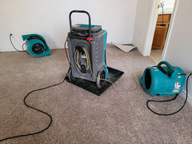 Best Sewage cleanup and water damage restoration  in Minot Af, ND