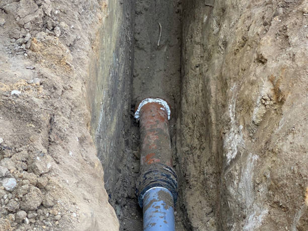 Best Flood damage cleanup  in Minot Af, ND