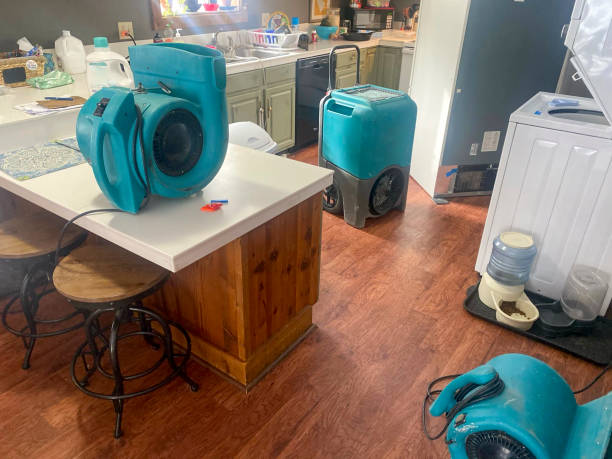 Best Water damage restoration near me  in Minot Af, ND