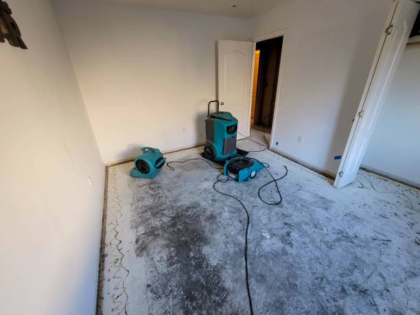 Best 24/7 water damage repair  in Minot Af, ND