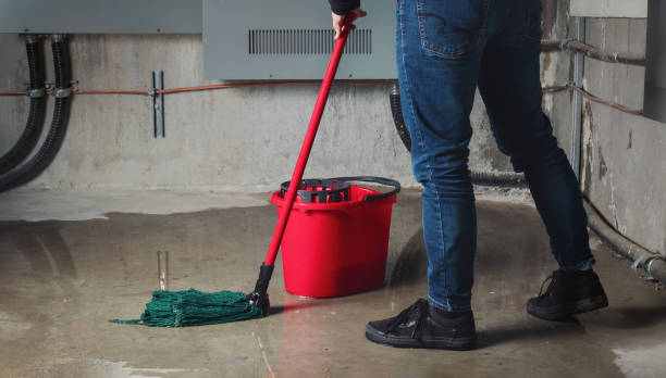 Best Flood restoration services  in Minot Af, ND