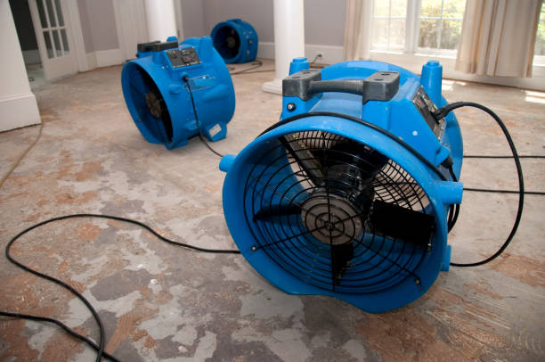 Best Water damage cleanup near me  in Minot Af, ND