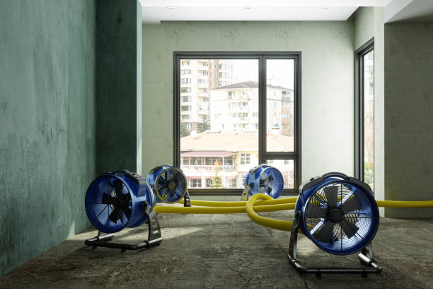 Best Local water damage restoration  in Minot Af, ND